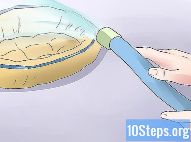 Ako sa zbaviť bĺch a kliešťov vo vašej domácnosti