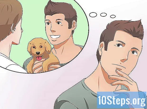 Kaip dresuoti šunį