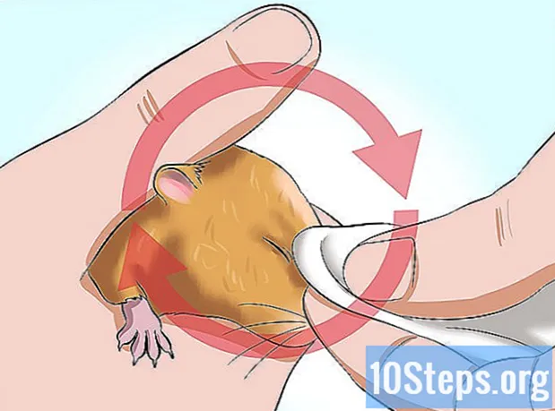 Hur man hjälper en hamster med limmat öga