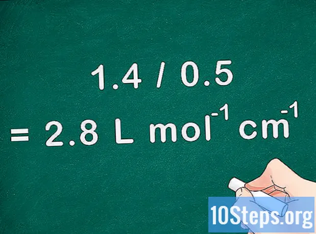 Sådan beregnes molær absorption - Encyklopædi
