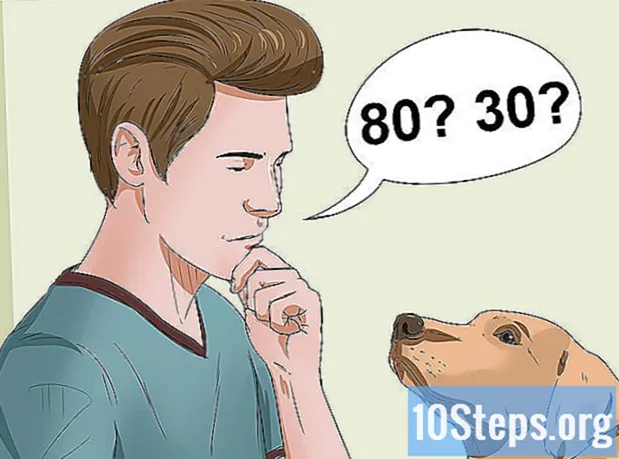 Jak vypočítat věk psa
