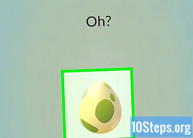 Cara Menetaskan Telur Pokémon