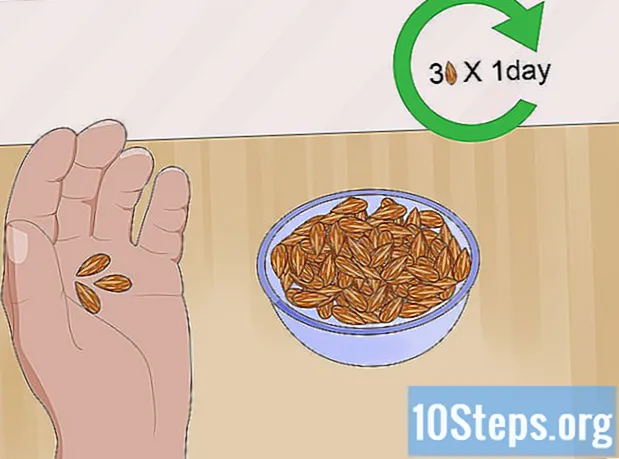 Kuinka syödä aprikoosinsiemeniä
