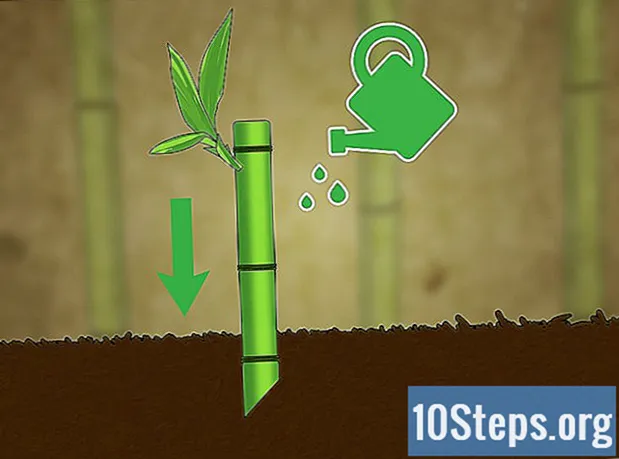Kaip supjaustyti bambuką