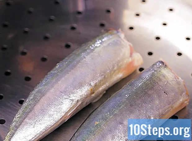 Cách nấu món cá đuôi ngựa - Bách Khoa Toàn Thư