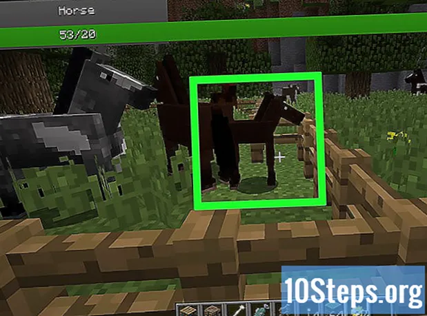 Kako uzgajati životinje u Minecraftu
