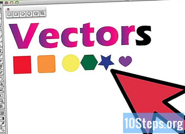 Ako vytvárať vektory v aplikácii Adobe Illustrator - Encyklopédie
