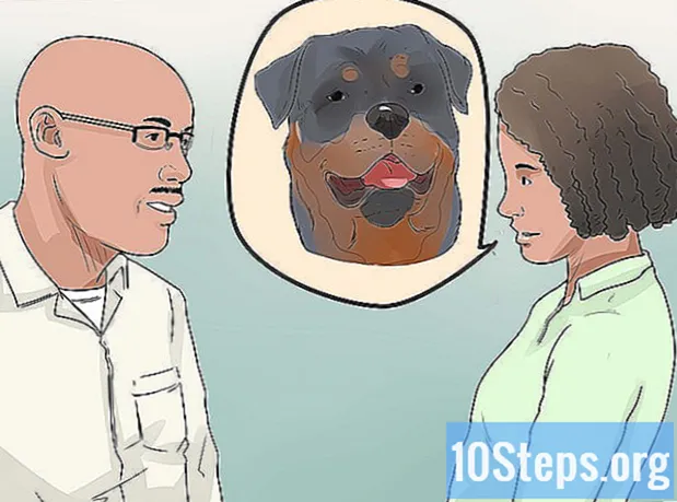 Bir Rottweiler'a Nasıl Bakılır