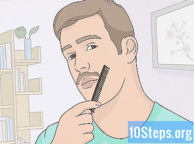 Hur man odlar en mustasch