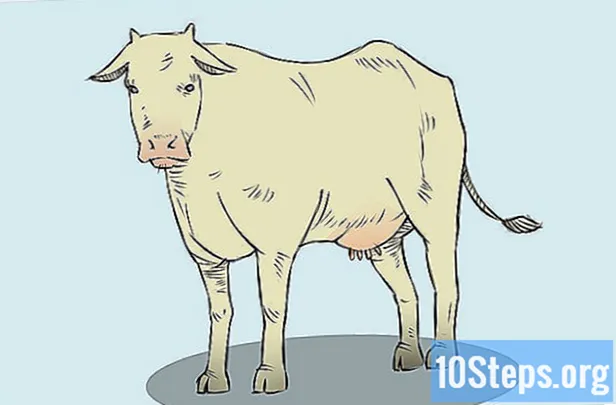 Wie zeichnet man eine Kuh