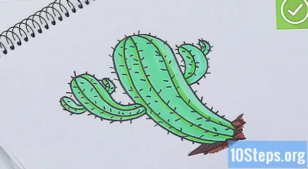 Hogyan rajzoljunk kaktuszt