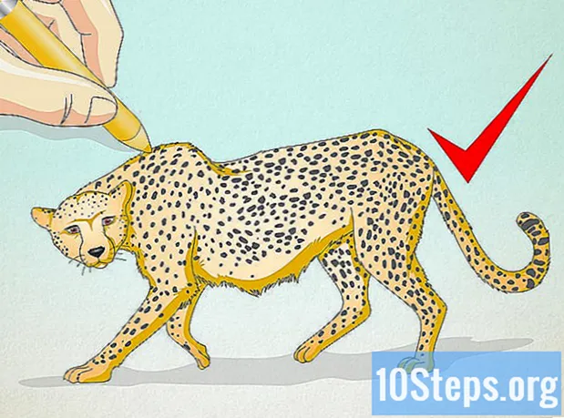 Cara Melukis Cheetah