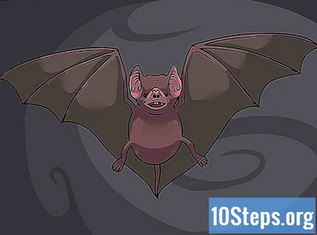 كيفية رسم الخفاش