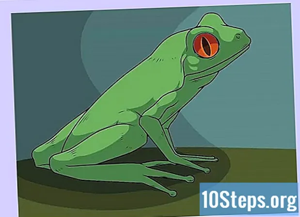 Làm thế nào để vẽ một con ếch