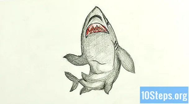 Cách vẽ một con cá mập