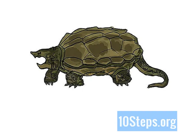 Как да нарисуваме костенурка