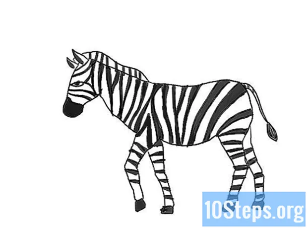 Zebra Nasıl Çizilir - Ansiklopedi