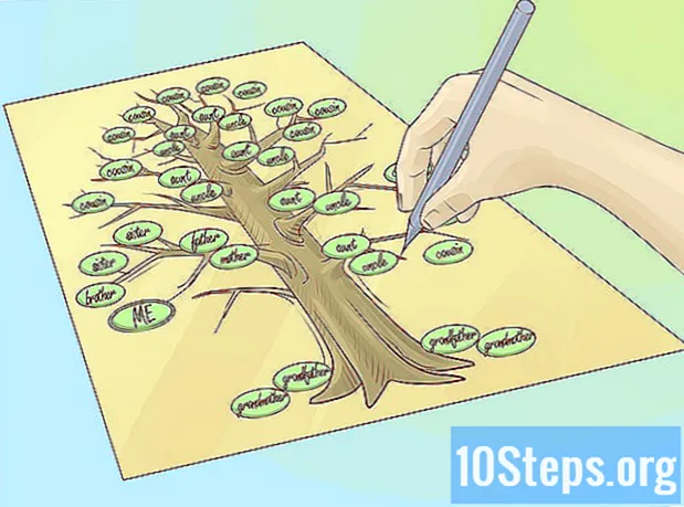 Cómo dibujar un árbol genealógico
