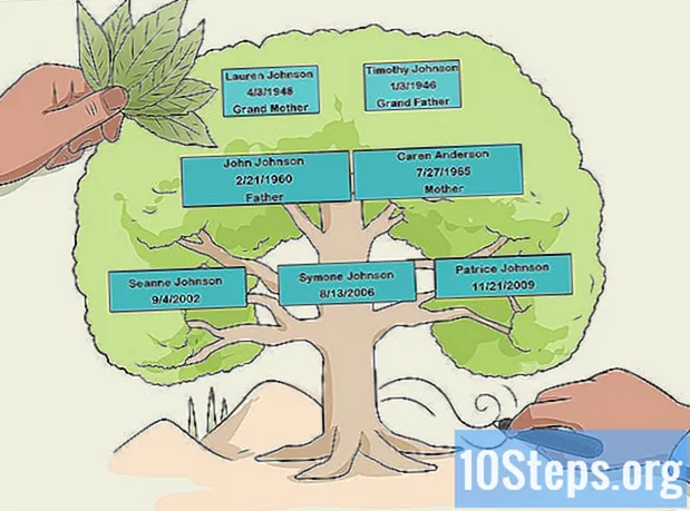 Cara Membangun Pohon Keluarga
