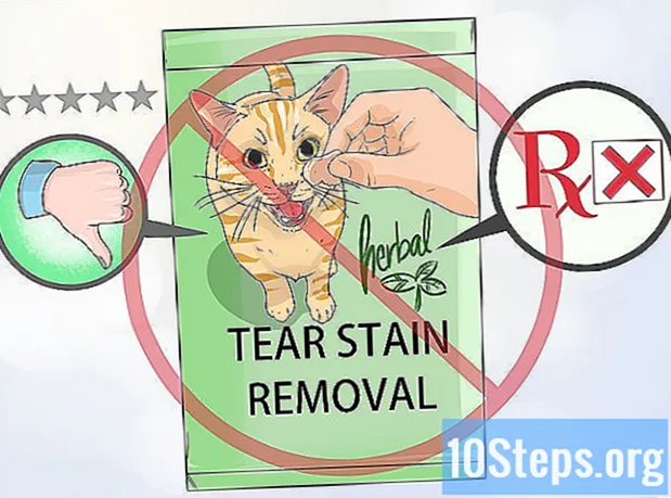 Cómo eliminar las lágrimas ácidas en perros y gatos - Enciclopedia