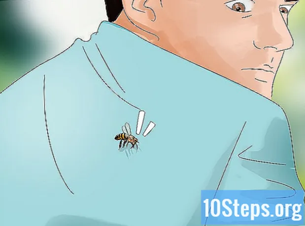 วิธีการหลบหนีผึ้งนักฆ่า