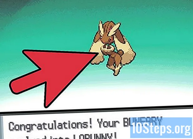 Cum să evoluezi un Buneary în Pokémon Diamond sau Pearl