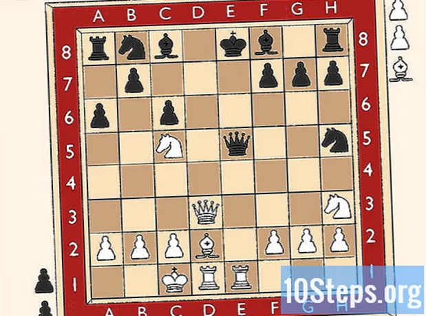 Wie man Schach öffnet