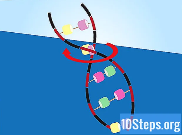 Πώς να φτιάξετε ένα μοντέλο DNA χρησιμοποιώντας κοινά υλικά