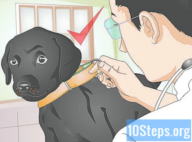 Како направити овратник за псе