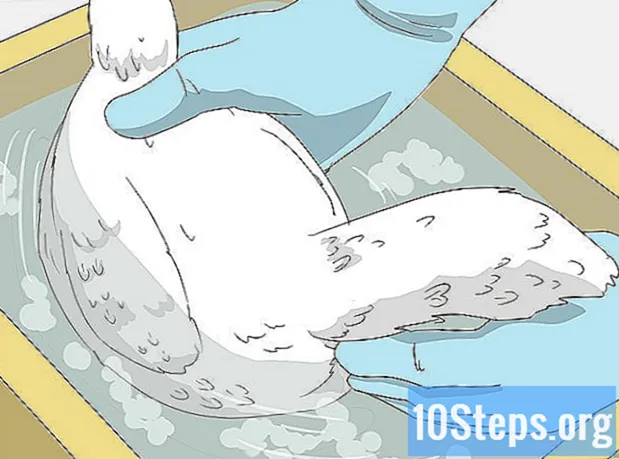 Cách làm sạch trứng