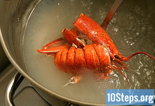 Paano linisin ang isang Lobster