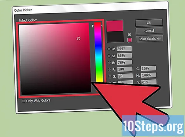 Ako zmeniť farbu písma Adobe Illustrator - Encyklopédie