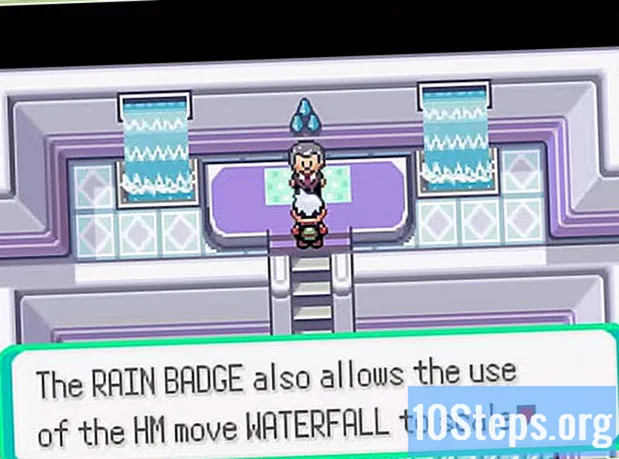 Wie man einen Wasserfall in Pokémon Emerald bekommt