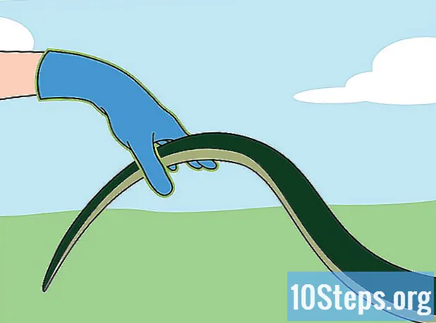 Cum să prinzi un șarpe