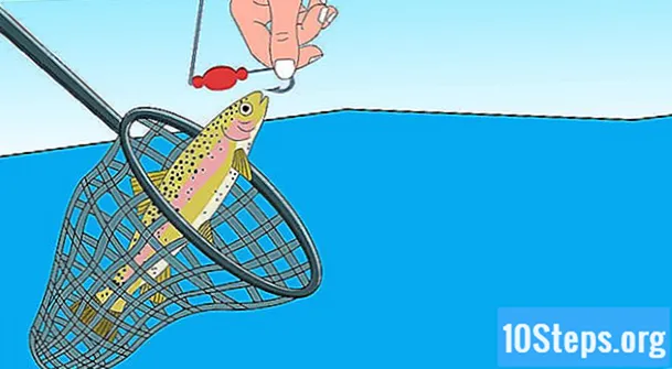 Kuinka kalastaa taimenta