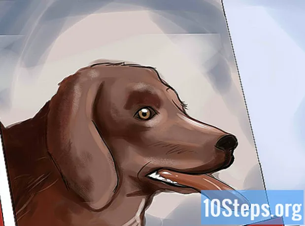 איך לצייר דיוקן כלב