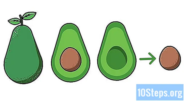 Sådan plantes en avocado - Encyklopædi