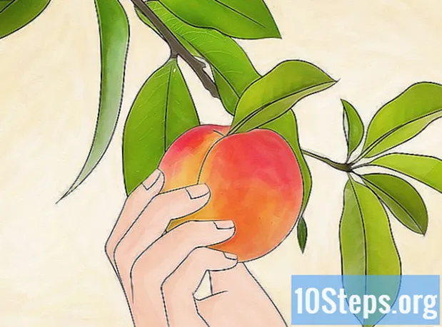 Hoe een perzikboom te planten