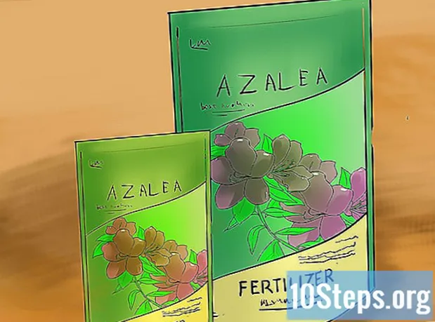 Cómo podar las azaleas