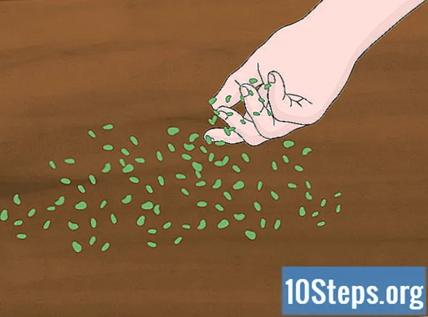 Kuinka tuottaa typpipohjaista lannoitetta