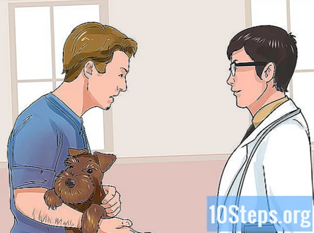 Како препознати знаке тровања код паса