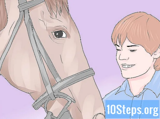 Kako prepoznati je li ozlijeđena tetiva konja