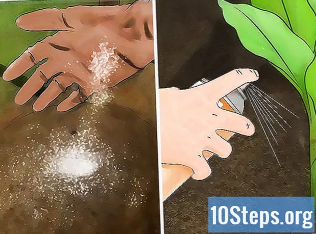 Как да се отървем от листни въшки
