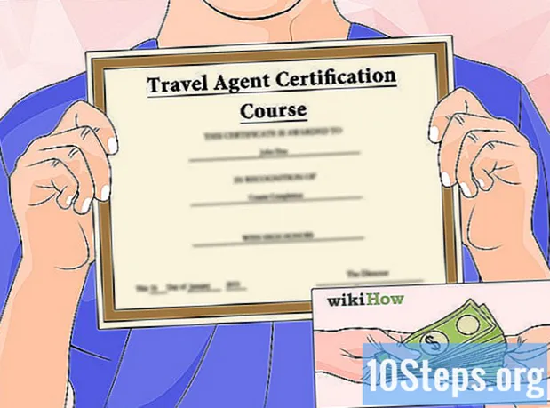 Jak se stát online cestovním agentem