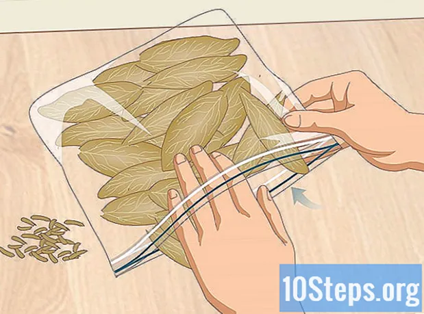 Як сушити лаврове листя