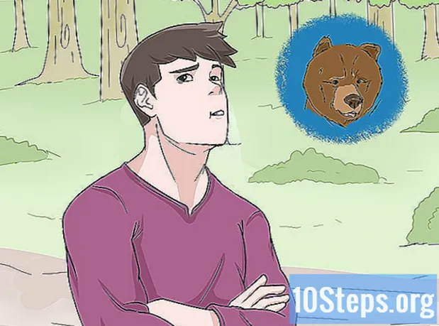Jak přežít útok medvěda