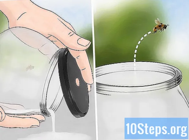 Kaip išvesti bitę iš namų
