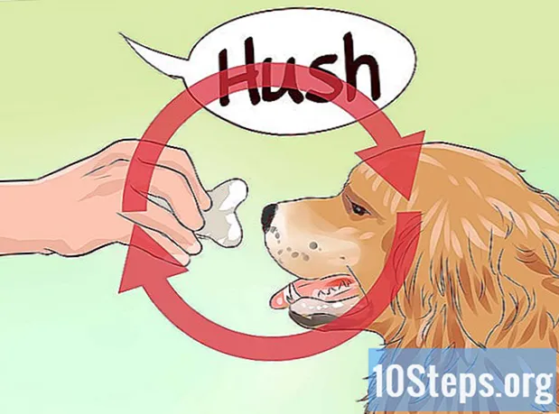 Wie man einen Wachhund trainiert