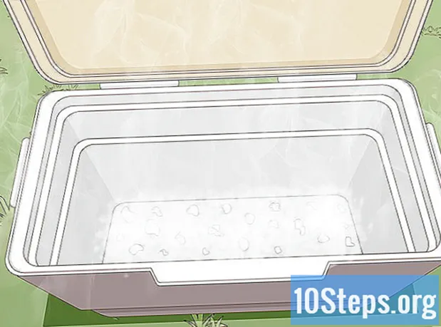 Come usare il ghiaccio secco in un frigorifero