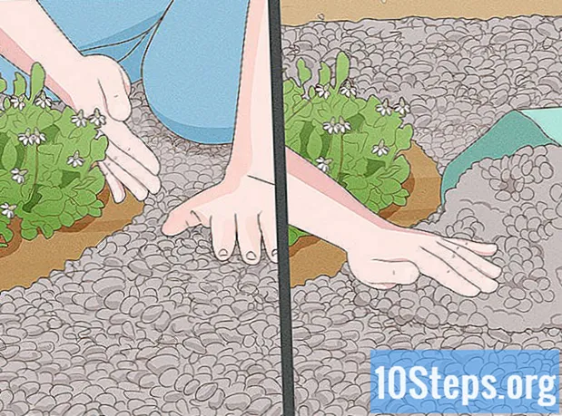 Wie man Kieselsteine ​​im Garten benutzt